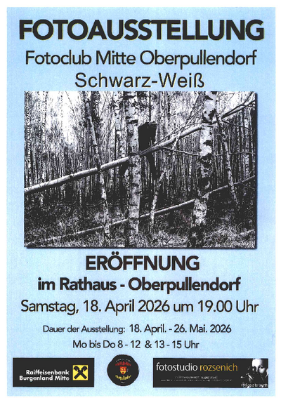 blaues Plakat mit Termin und Details s/w Foto mit Baumstämmen blaues Plakat mit Termin und Details s/w Foto mit Baumstämmen